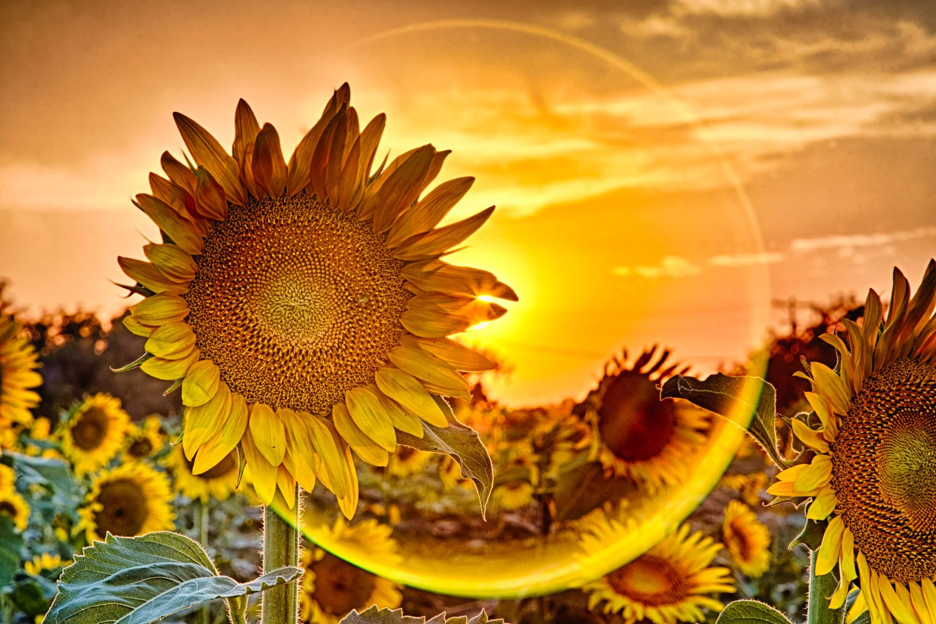 West Virginia — Shop | Discover Unique Art Prints — Dock 410